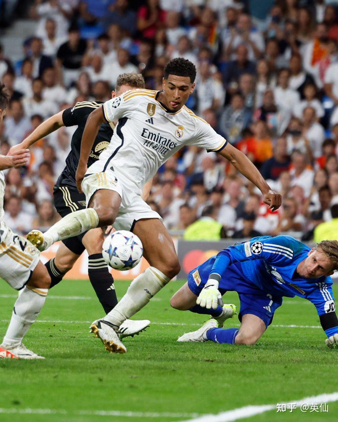 审视他的状 审视他的状